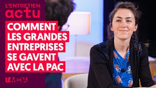 COMMENT LES GRANDES ENTREPRISES SE GAVENT AVEC LA PAC