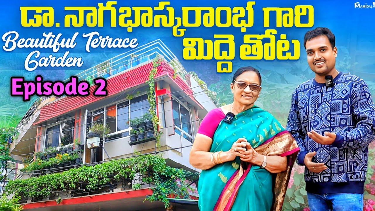 కూరగాయలు, కుళ్ళిన పళ్లతో అద్భుతమైన ఎరువు Dr. Nagabhaskaramba's garden Episode 2