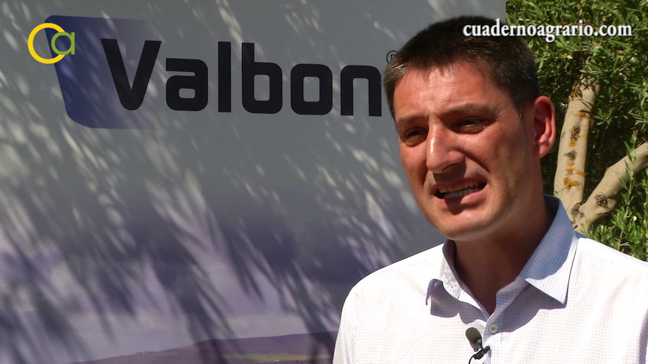 Sipcam Iberia ofrece soluciones al repilo plomizo del olivo