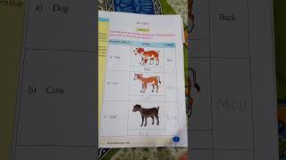 Class4 Wings Part 1 Activity 12educational educationals