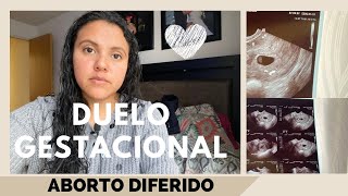 PERDI A MI BEBÉ de 6 SEMANAS  💔Aborto Diferido |#storytime…. DUELO GESTACIONAL