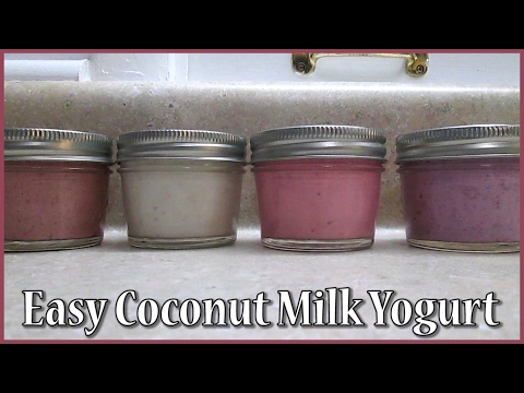 easy-coconut-milk-yogurt-|-fermented-|-vegan-|-paleo-|-baby-food