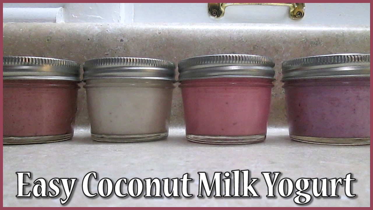 Easy Coconut Milk Yogurt Fermented Vegan Paleo Baby Food YouTube