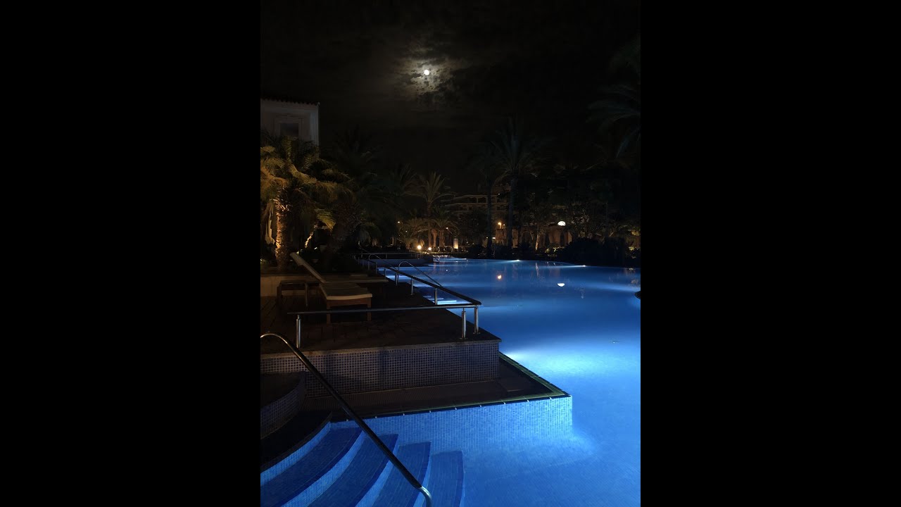 (FREE) Playboi Carti x Adrian x Pierre Bourne Type Beat 