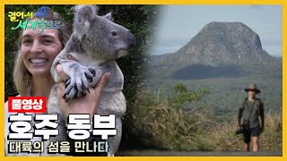 [걸어서세계속으로Full📺] 보석 같은 산호섬과 쪽빛 바다가 유혹하는 '호주 동부' Trip to Australia (KBS 방송)