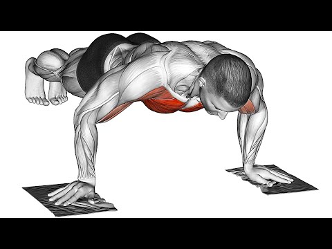 Full Body Workout with Towel