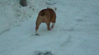 DSCF4252.AVI