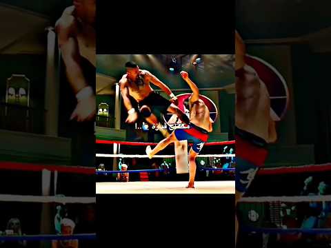 حالات واتس دا كلام وملوش تسعيرة إستوريات إنستا بتاع تصاميم