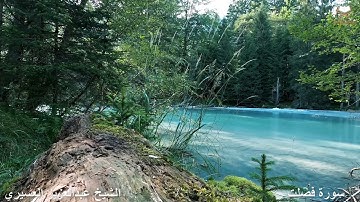 ( وَيَوْمَ يُحْشَرُ أَعْدَاءُ اللَّهِ إِلَى النَّارِ..) تلاوة تدبرية خاشعة للشيخ ‫عبدالعزيز العسيري‬