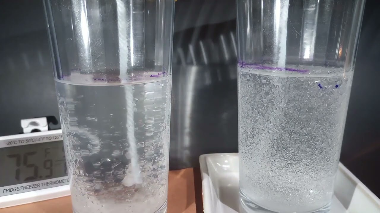 24 Hour Borax Crystal Growth