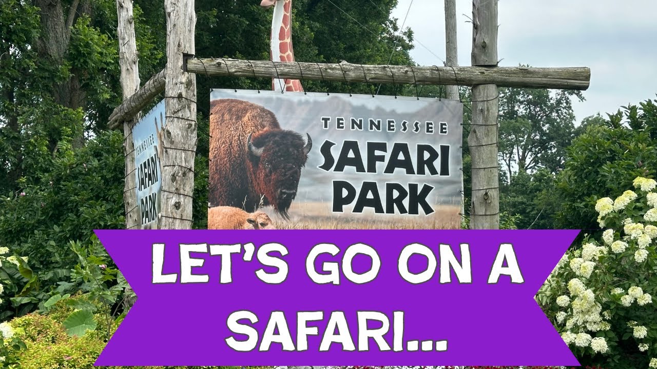 Make the most of everyday…even the ones that start out scary & stressful 🩵 #monkeys #animals