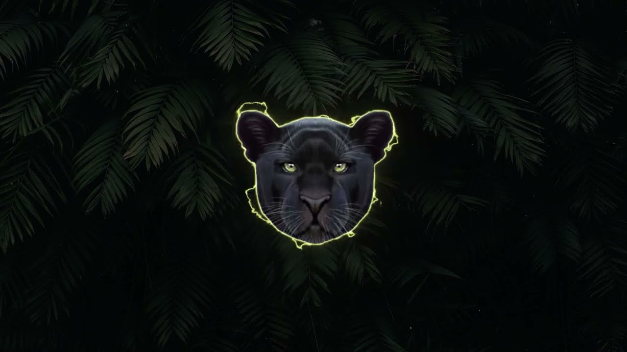 Trap Type Beat  -  ''BLACK PANTHER''