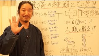 腰痛の種類とその原因