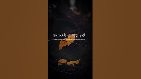 سورة الفجر • الآيات 27-30 • الشيخ محمد اللحيدان | Surah Al-Fajr • Sheikh Muhammad Al-Luhaidan #quran