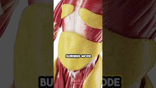 What REALLY Happens When You Don’t Eat for 36 Hours !!! #health #healthtips #fasting