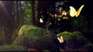 Butterflies - Ayzha Nyree (Lyric Video)
