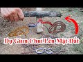 Cách Dụ Giun (Trùng) Chui Lên Khỏi Mặt Đất Cực Hay/ Mẹo Bắt Giun Đất Không Cần Đào. catch earthworms