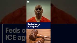 ICE agent charged with lying about Minnesota shooting | FOX 10 Phoenix