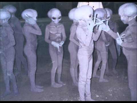 Инопланетяне мем 2025 кот