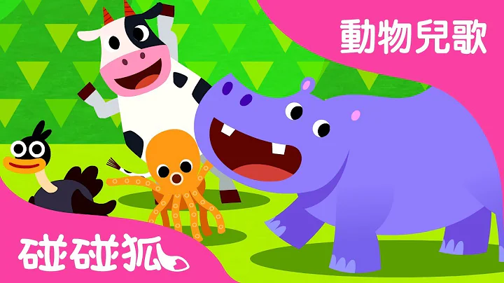 学学动物 | 动物儿歌 | 碰碰狐pinkfong！儿童儿歌 - 天天要闻