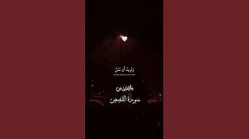وَنُرِيدُ أَن نَّمُنَّ عَلَى الَّذِينَ اسْتُضْعِفُوا فِ#قرآن كريم #دعاء #اذكار #حالات#المنشاوي