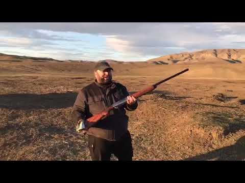 ვიდეო: იარაღი 