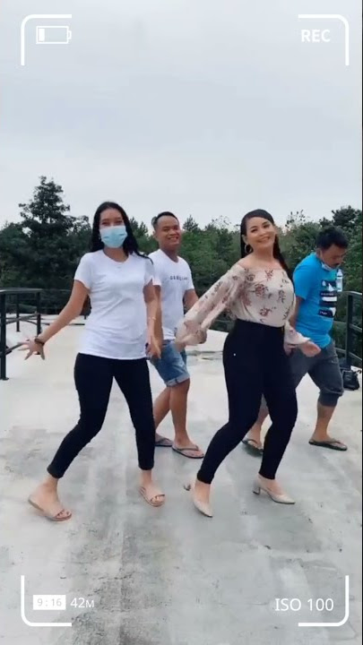 DIAN ANIC - GOYANG TIKTOK