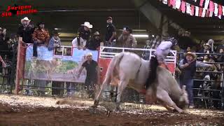 ANGEL DIVINO VS COLIBRI DE QUIROGA