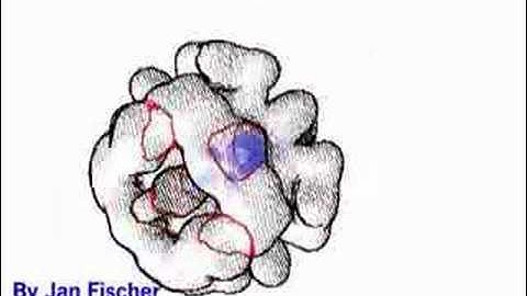 Illustrative Display of Hidden Iso-Surface Structures