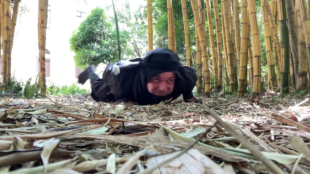 Ninja hard training - Bujinkan Ninjutsu 