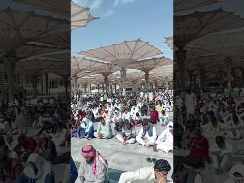 المدينة المنورة طيبة