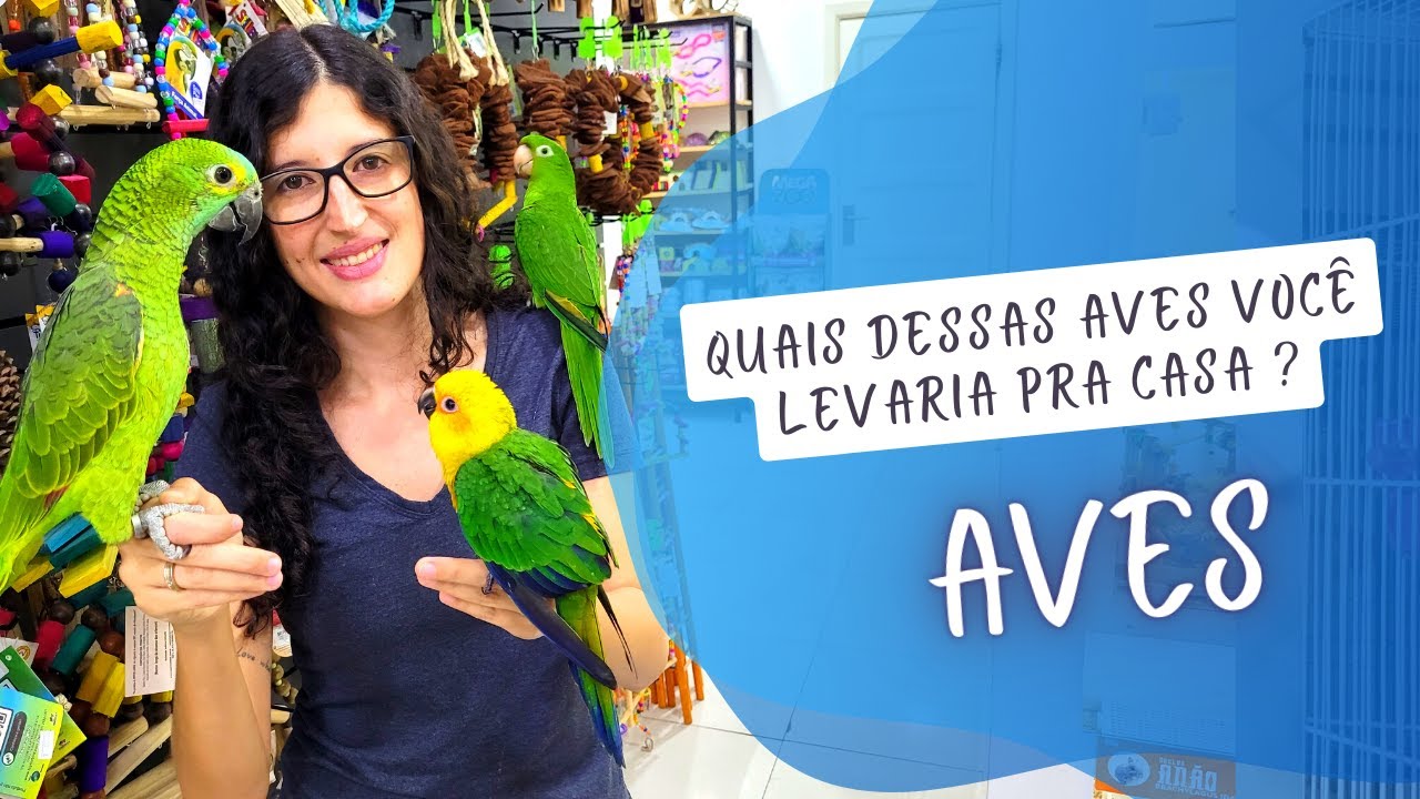 VISITEI UMA LOJA CHEIA DE AVES MANSAS - UDP