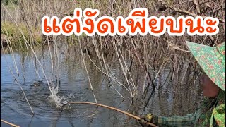 #ตกปลาคันไม้ไผ่ ไม่พูดเยอะ แต่ของัดเยอะๆดีกว่า