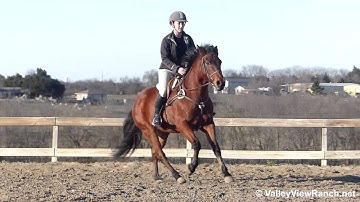 Kurt***For info, price, etc., go to our website*** Valley View Ranch