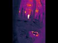 【Shorts】TOOLTOP ET693C thermal imager. First time use test.