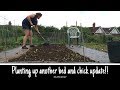 Clearing and planting up another bed and a quail chick update.