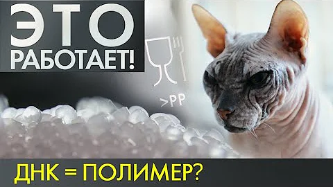 Полипропилен | Это работает #4 (2019)