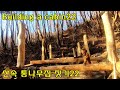 통나무로 짓는 산속 오두막22 Building a cabin22