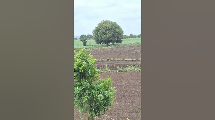 #video​ | Vat Savitri Ka Pujaan |  #amritadixit​ | Traditional Song #2025​ #video​ | #naturelovers