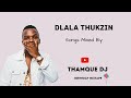 Dlala Thukzin Groove songs Mix | ThamQue BDY Mixtape.