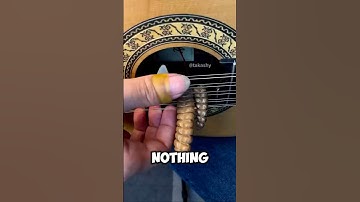 what’s inside a rattlesnake’s tail? 🐍😨