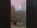 The January 2025 Full Wolf Moon