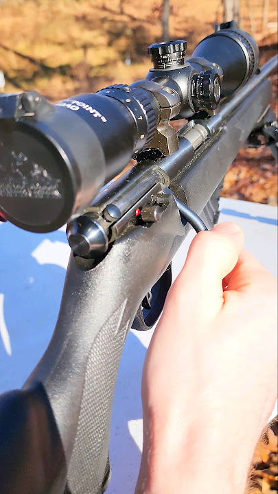 🔥Savage Mark 2 ASMR🔥  #22lr  #rifle #boltaction #viral #shorts #gun #asmr