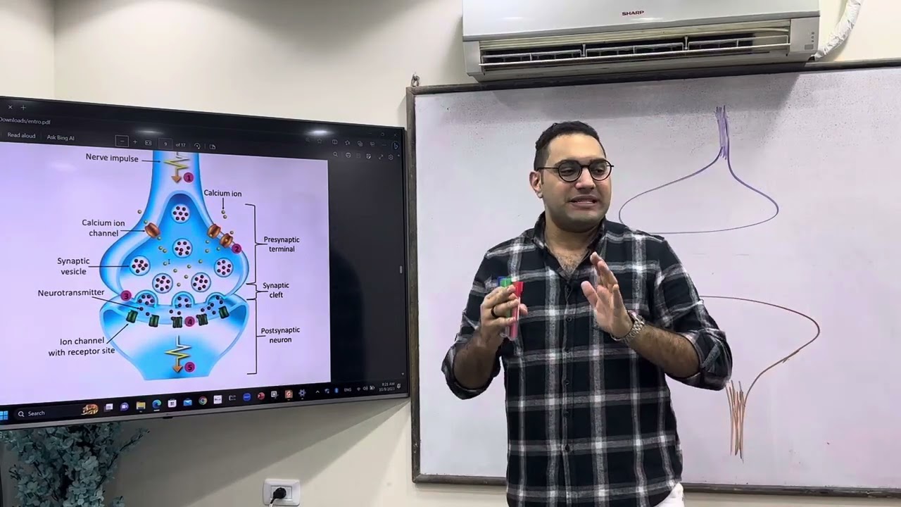 CNS Physiology -3 د/الشريف