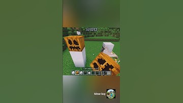 Mine craft tricks part-10 | real ✅ or fake ❎ | #minecraft #tricks #Minerboy