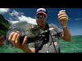 IFISH - Catching the RARE "Double Header Wrasse" PLUS much much more!