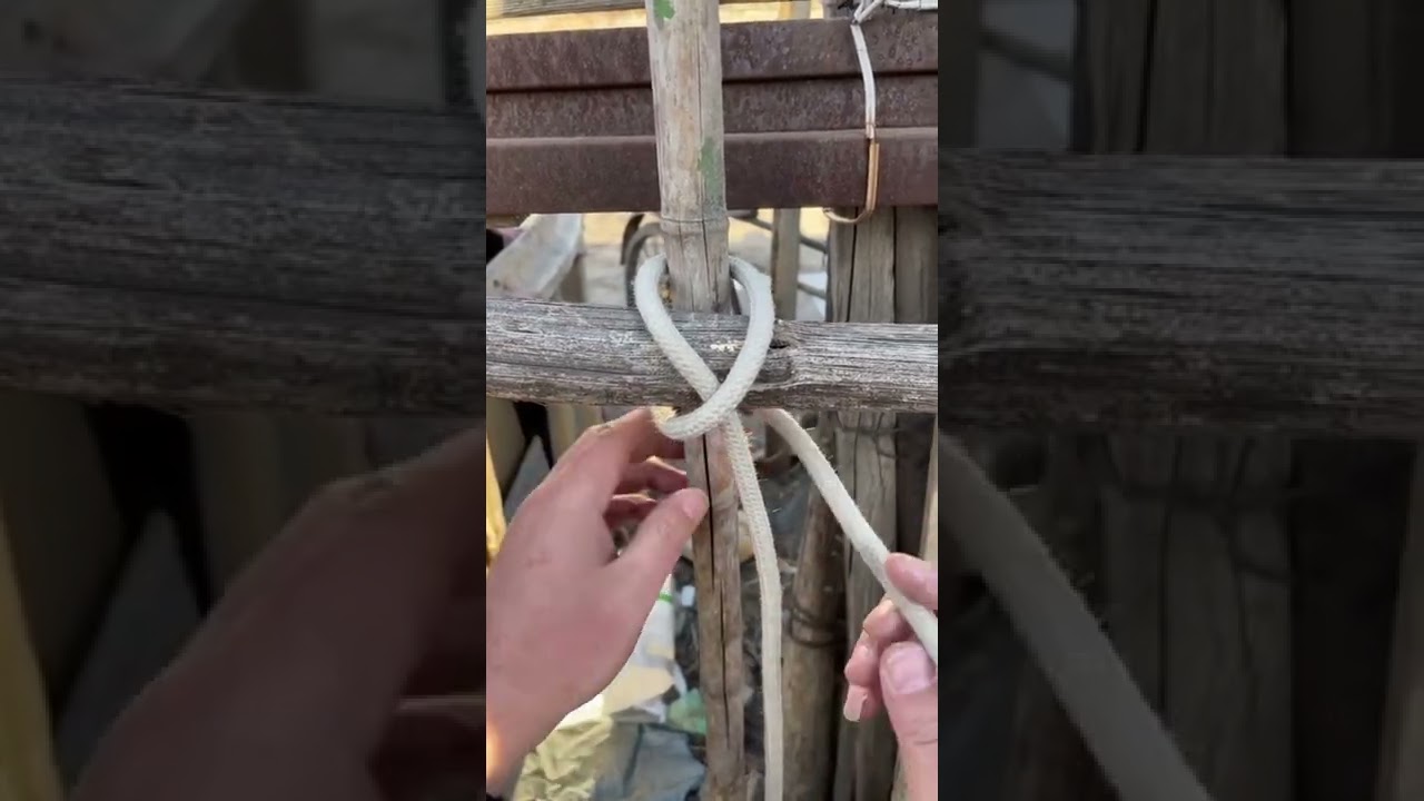 How to Tie Knots Rope DIY at Home, Rope Trick You Should Know 