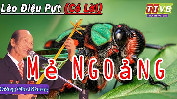 Lèo điệu pựt: Mẻ Ngoảng | Nông Văn Khang | Then Tính Việt Bắc