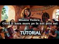 Mioara Velicu - Cand ii hora mare pe la noi prin sat, TUTORIAL incepatori ORGA