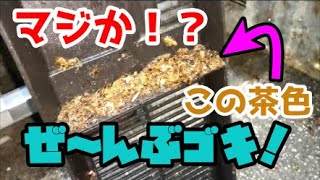 ゴキブリの巣 part.11　　コールドテーブルの深淵へと再び…  Cockroach nest vs Exterminator 11